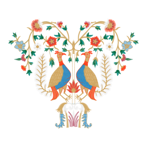 Piciformes Animals Piciformes Animals