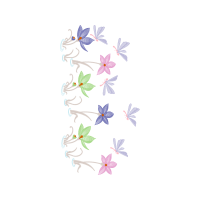 Pieridae Animals Pieridae Animals