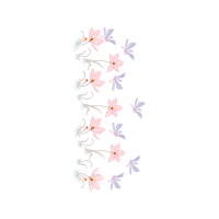 Pieridae Animals Pieridae Animals