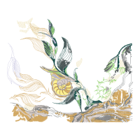 Pine Siskin Animals Pine Siskin Animals