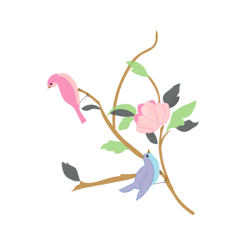 Rar Animals Rar Animals