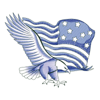 Red Shouldered Hawk Animals Red Shouldered Hawk Animals