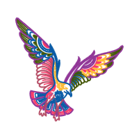 Red Shouldered Hawk Animals Red Shouldered Hawk Animals