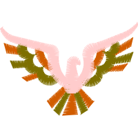 Red Shouldered Hawk Animals Red Shouldered Hawk Animals