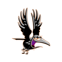 Red Shouldered Hawk Animals Red Shouldered Hawk Animals