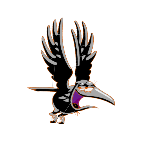 Red Shouldered Hawk Animals Red Shouldered Hawk Animals