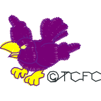 Red Tailed Hawk Animals