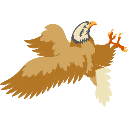 Red Tailed Hawk Animals Red Tailed Hawk Animals