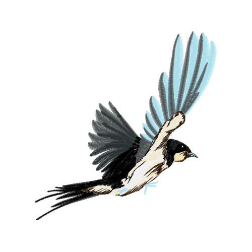 Red Tailed Hawk Animals Red Tailed Hawk Animals