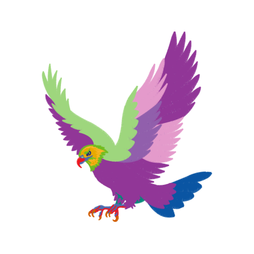 Red Tailed Hawk Animals Red Tailed Hawk Animals