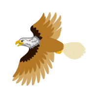 Red Tailed Hawk Animals Red Tailed Hawk Animals