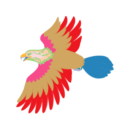 Red Tailed Hawk Animals Red Tailed Hawk Animals