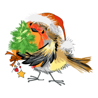 Red Tailed Hawk Animals