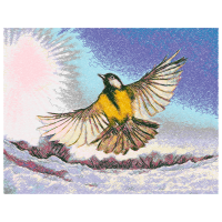 Red Tailed Hawk Animals Red Tailed Hawk Animals