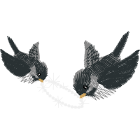 Red Tailed Hawk Animals Red Tailed Hawk Animals