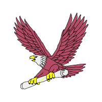 Red Tailed Hawk Animals Red Tailed Hawk Animals