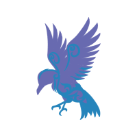 Red Tailed Hawk Animals