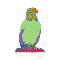 Red Tailed Hawk Animals Red Tailed Hawk Animals