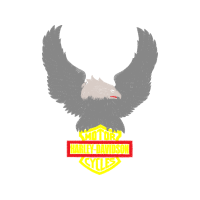 Red Tailed Hawk Animals Red Tailed Hawk Animals