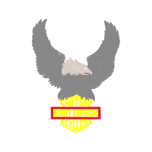 Red Tailed Hawk Animals Red Tailed Hawk Animals