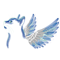 Rock Dove Animals Rock Dove Animals