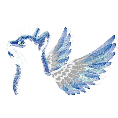 Rock Dove Animals Rock Dove Animals