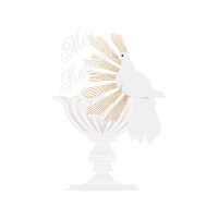 Rock Ptarmigan Animals