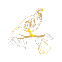 Rock Ptarmigan Animals