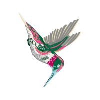 Ruby Throated Hummingbird Animals