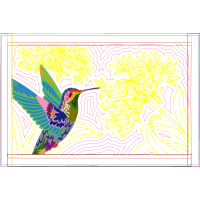 Ruby Throated Hummingbird Animals