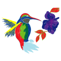 Ruby Throated Hummingbird Animals