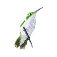 Ruby Throated Hummingbird Animals