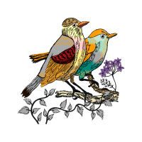 Ruby Throated Hummingbird Animals