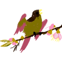 Ruby Throated Hummingbird Animals