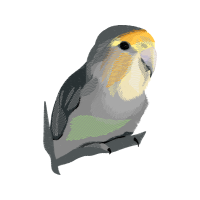 Ruby Throated Hummingbird Animals Ruby Throated Hummingbird Animals