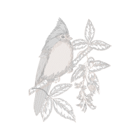 Ruby Throated Hummingbird Animals Ruby Throated Hummingbird Animals