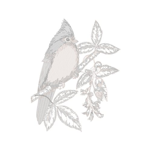 Ruby Throated Hummingbird Animals Ruby Throated Hummingbird Animals