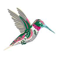 Ruby Throated Hummingbird Animals