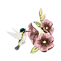 Ruby Throated Hummingbird Animals Ruby Throated Hummingbird Animals