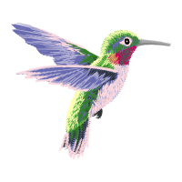 Ruby Throated Hummingbird Animals