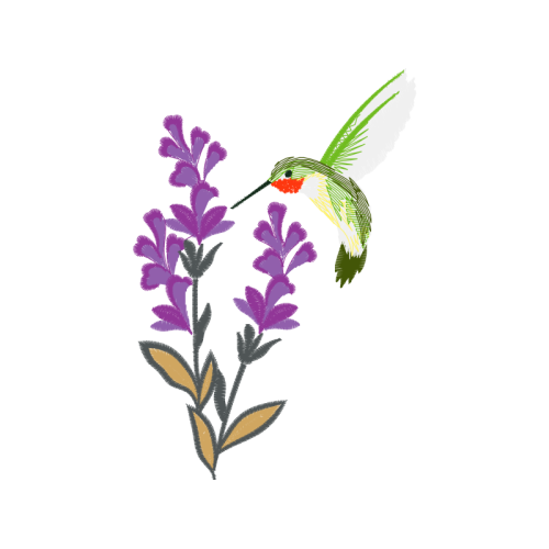 Ruby Throated Hummingbird Animals Ruby Throated Hummingbird Animals