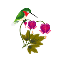 Ruby Throated Hummingbird Animals