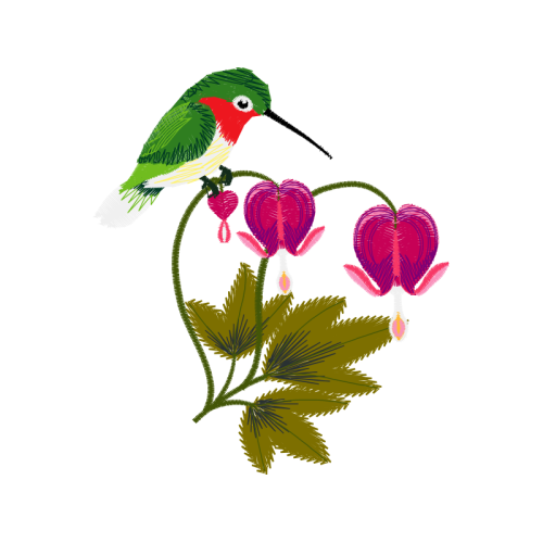 Ruby Throated Hummingbird Animals Ruby Throated Hummingbird Animals