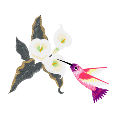 Ruby Throated Hummingbird Animals Ruby Throated Hummingbird Animals