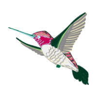 Ruby Throated Hummingbird Animals