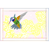 Ruby Throated Hummingbird Animals