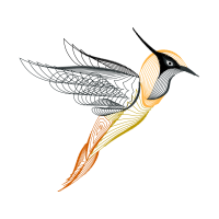 Ruby Throated Hummingbird Animals Ruby Throated Hummingbird Animals