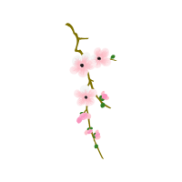 Rufous Hummingbird Animals