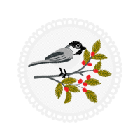 Rufous Hummingbird Animals Rufous Hummingbird Animals