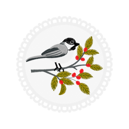 Rufous Hummingbird Animals Rufous Hummingbird Animals